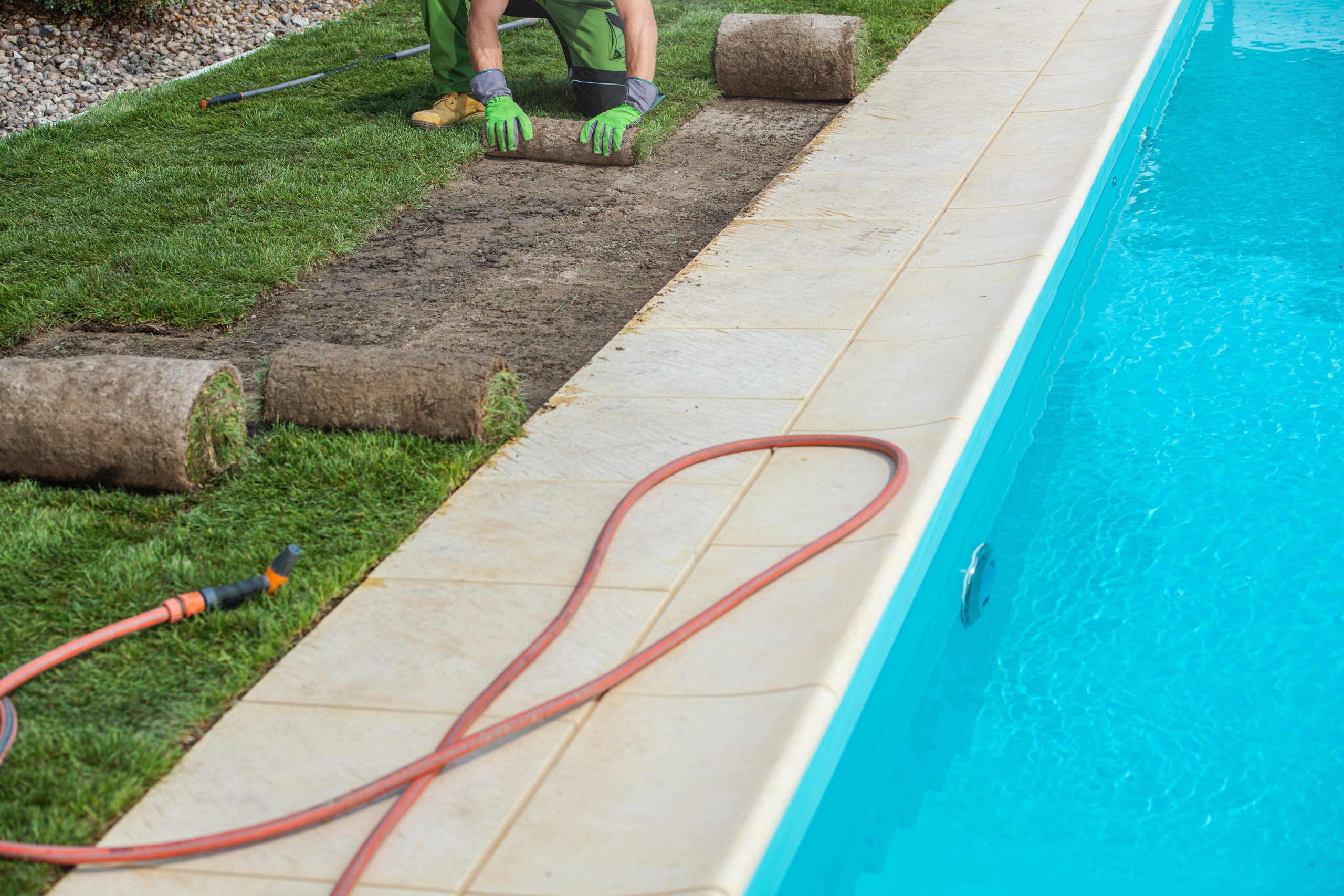 Landscaping Worker Installing Nature Grass Turfs From Roll Next to Residential Outdoor Swimming Pool. Gardening and Landscaping Industry Theme.